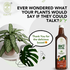 Plant growth booster