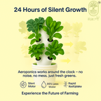 Aeroponics Tower