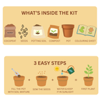 MY FIRST GARDEN KIT