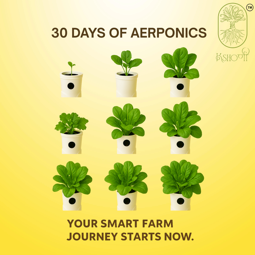 Aeroponics Tower