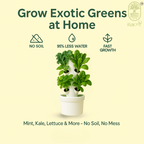 Aeroponics Tower