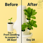 Aeroponics Tower
