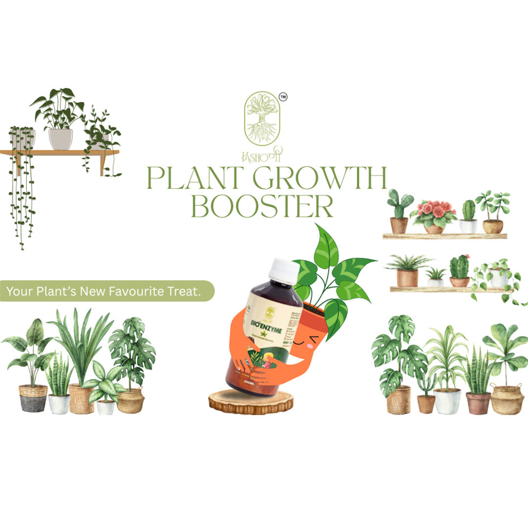 Plant growth booster